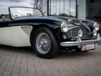 Austin Healey 100 100/6 - <small></small> 47.500 € <small>TTC</small> - #7