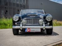 Austin Healey 100 100/6 - <small></small> 47.500 € <small>TTC</small> - #12