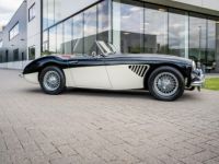 Austin Healey 100 100/6 - <small></small> 47.500 € <small>TTC</small> - #36