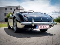 Austin Healey 100 100/6 - <small></small> 47.500 € <small>TTC</small> - #38