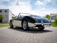 Austin Healey 100 100/6 - <small></small> 47.500 € <small>TTC</small> - #39