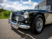 Austin Healey 100 100/6 - <small></small> 47.500 € <small>TTC</small> - #41