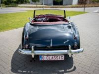 Austin Healey 100 100/6 - <small></small> 47.500 € <small>TTC</small> - #42