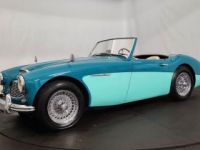 Austin Healey 100 100/6 BN6 - <small></small> 75.000 € <small>TTC</small> - #2