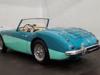 Austin Healey 100 100/6 BN6 - <small></small> 75.000 € <small>TTC</small> - #3