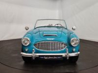 Austin Healey 100 100/6 BN6 - <small></small> 75.000 € <small>TTC</small> - #6