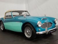 Austin Healey 100 100/6 BN6 - <small></small> 75.000 € <small>TTC</small> - #41