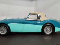 Austin Healey 100 100/6 BN6 - <small></small> 75.000 € <small>TTC</small> - #45