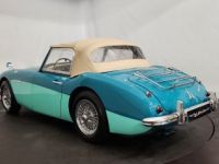 Austin Healey 100 100/6 BN6 - <small></small> 75.000 € <small>TTC</small> - #46