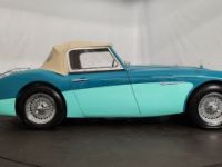 Austin Healey 100 100/6 BN6 - <small></small> 75.000 € <small>TTC</small> - #50