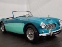 Austin Healey 100 - <small></small> 75.000 € <small>TTC</small> - #1