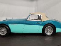 Austin Healey 100 - <small></small> 75.000 € <small>TTC</small> - #23