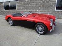 Austin Healey 100 BN2 100M Tribute  - <small></small> 69.000 € <small>TTC</small> - #1