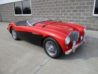 Austin Healey 100 BN2 100M Tribute  - <small></small> 69.000 € <small>TTC</small> - #2