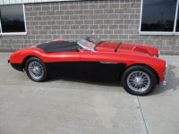 Austin Healey 100 BN2 100M Tribute  - <small></small> 69.000 € <small>TTC</small> - #3