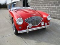 Austin Healey 100 BN2 100M Tribute  - <small></small> 69.000 € <small>TTC</small> - #5