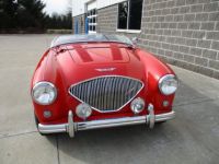 Austin Healey 100 BN2 100M Tribute  - <small></small> 69.000 € <small>TTC</small> - #6