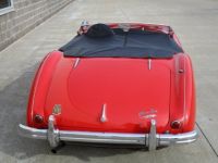 Austin Healey 100 BN2 100M Tribute  - <small></small> 69.000 € <small>TTC</small> - #10