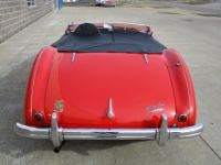 Austin Healey 100 BN2 100M Tribute  - <small></small> 69.000 € <small>TTC</small> - #11