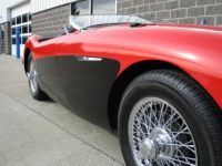 Austin Healey 100 BN2 100M Tribute  - <small></small> 69.000 € <small>TTC</small> - #14