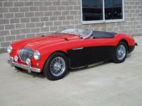 Austin Healey 100 BN2 100M Tribute  - <small></small> 69.000 € <small>TTC</small> - #15