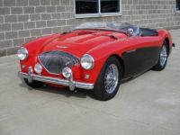 Austin Healey 100 BN2 100M Tribute  - <small></small> 69.000 € <small>TTC</small> - #16