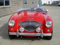 Austin Healey 100 BN2 100M Tribute  - <small></small> 69.000 € <small>TTC</small> - #18