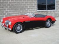 Austin Healey 100 BN2 100M Tribute  - <small></small> 69.000 € <small>TTC</small> - #19