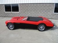 Austin Healey 100 BN2 100M Tribute  - <small></small> 69.000 € <small>TTC</small> - #20