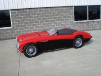 Austin Healey 100 BN2 100M Tribute  - <small></small> 69.000 € <small>TTC</small> - #24