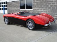 Austin Healey 100 BN2 100M Tribute  - <small></small> 69.000 € <small>TTC</small> - #25