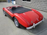 Austin Healey 100 BN2 100M Tribute  - <small></small> 69.000 € <small>TTC</small> - #28