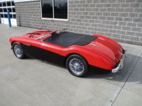 Austin Healey 100 BN2 100M Tribute  - <small></small> 69.000 € <small>TTC</small> - #30