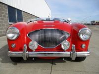 Austin Healey 100 BN2 100M Tribute  - <small></small> 69.000 € <small>TTC</small> - #40