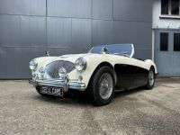 Austin Healey 100 BN2 - <small></small> 105.000 € <small>TTC</small> - #2