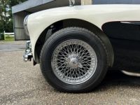 Austin Healey 100 BN2 - <small></small> 105.000 € <small>TTC</small> - #3