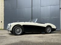 Austin Healey 100 BN2 - <small></small> 105.000 € <small>TTC</small> - #4