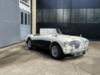 Austin Healey 100 BN2 - <small></small> 105.000 € <small>TTC</small> - #5