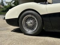 Austin Healey 100 BN2 - <small></small> 105.000 € <small>TTC</small> - #11