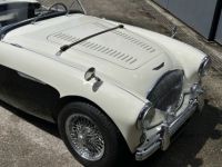 Austin Healey 100 BN2 - <small></small> 105.000 € <small>TTC</small> - #13