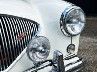 Austin Healey 100 BN2 - <small></small> 105.000 € <small>TTC</small> - #19