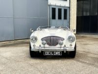 Austin Healey 100 BN2 - <small></small> 105.000 € <small>TTC</small> - #21