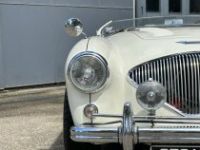 Austin Healey 100 BN2 - <small></small> 105.000 € <small>TTC</small> - #23