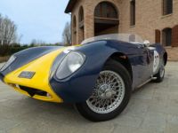 Austin Healey 100 BUCKLER DD2 COVENTRY CLIMAX - Prix sur Demande - #1