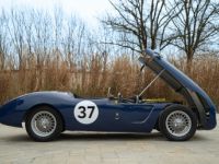 Austin Healey 100 BUCKLER DD2 COVENTRY CLIMAX - Prix sur Demande - #3