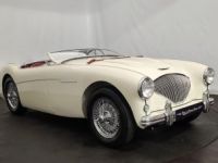 Austin Healey 100 kit Le Mans - <small></small> 115.000 € <small>TTC</small> - #1