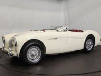 Austin Healey 100 kit Le Mans - <small></small> 115.000 € <small>TTC</small> - #2