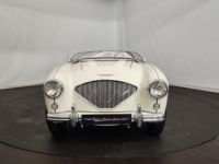 Austin Healey 100 kit Le Mans - <small></small> 115.000 € <small>TTC</small> - #6