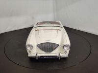 Austin Healey 100 kit Le Mans - <small></small> 115.000 € <small>TTC</small> - #7