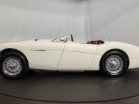 Austin Healey 100 kit Le Mans - <small></small> 115.000 € <small>TTC</small> - #8